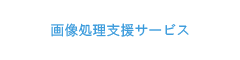 経理・会計コンサルティングサービス